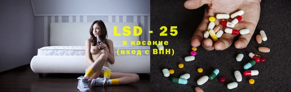 сатива Магадан