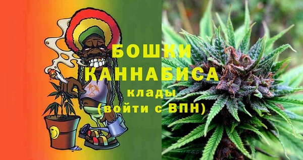 сатива Магадан