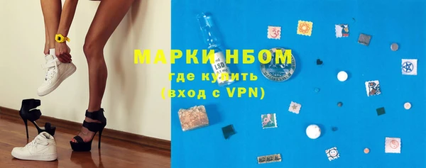 стаф Магас