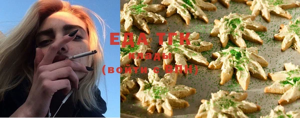 стаф Магас