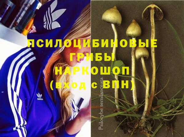 бошки Майский