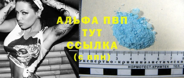 стаф Магас