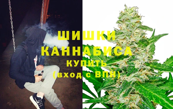сатива Магадан