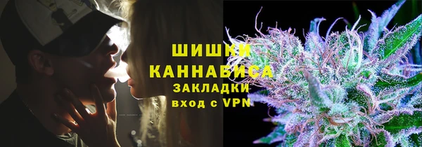 сатива Магадан