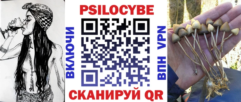 Псилоцибиновые грибы мухоморы  Купить  Колпашево 
