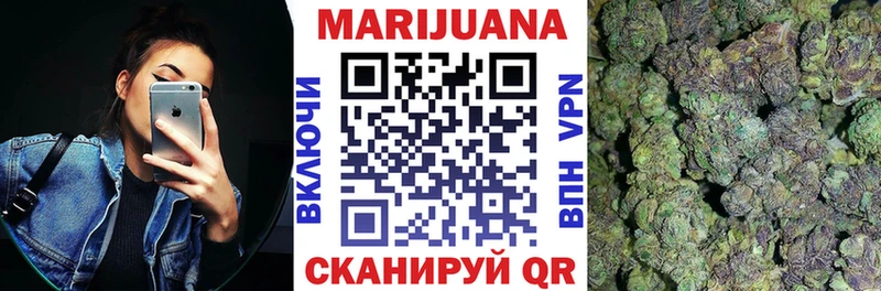 Конопля план  Купить где  Колпашево 